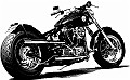Custom 032